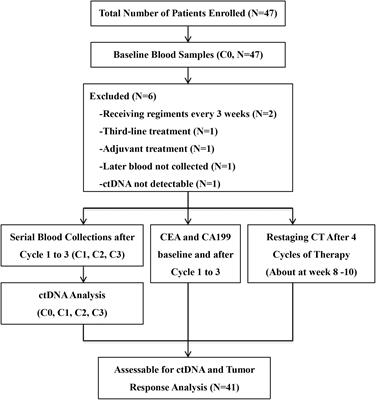 Serial Monitoring of Circulating Tumor DNA in Patients With Metastatic Colorectal Cancer to Predict the Therapeutic Response